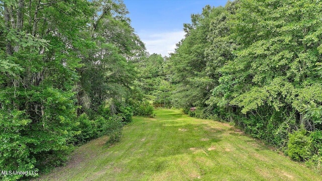 Brandon Williamsburg Rd, Mendenhall, MS 39114