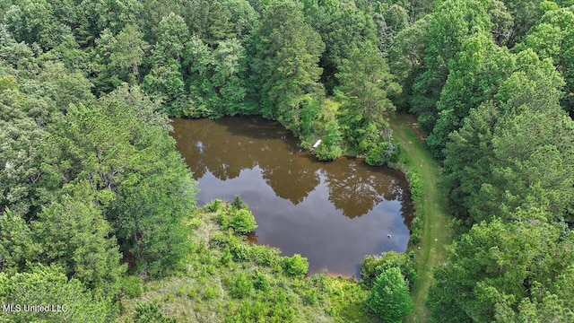 Brandon Williamsburg Rd, Mendenhall, MS 39114