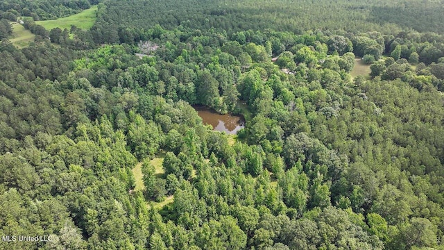 Brandon Williamsburg Rd, Mendenhall, MS 39114