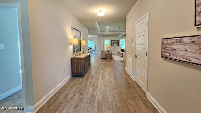 hallway featuring a raised ceiling and wood-type flooring