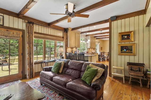 living room featuring beamed ceiling, ceiling fan, and light wood-type flooring