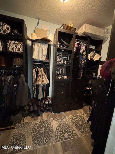 walk in closet with hardwood / wood-style floors