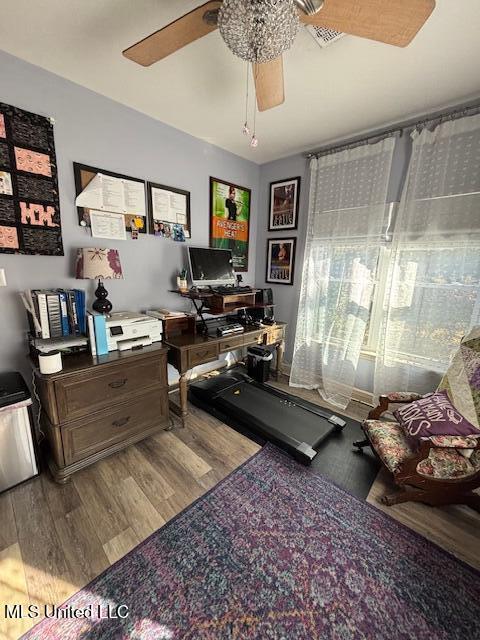 exercise area featuring wood-type flooring and ceiling fan