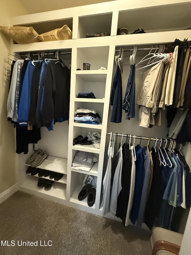 spacious closet featuring carpet