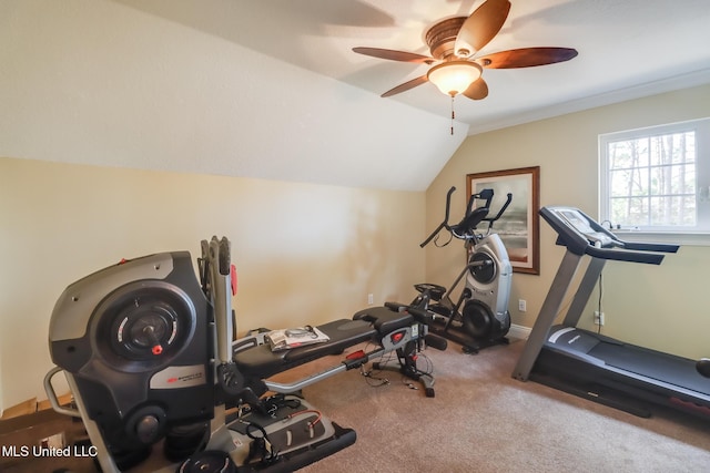 workout area featuring ceiling fan, lofted ceiling, and carpet flooring