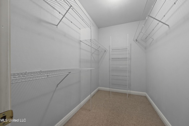 725 Old Savannah Dr, Long Beach, MS 39560 - walk in closet with carpet floors