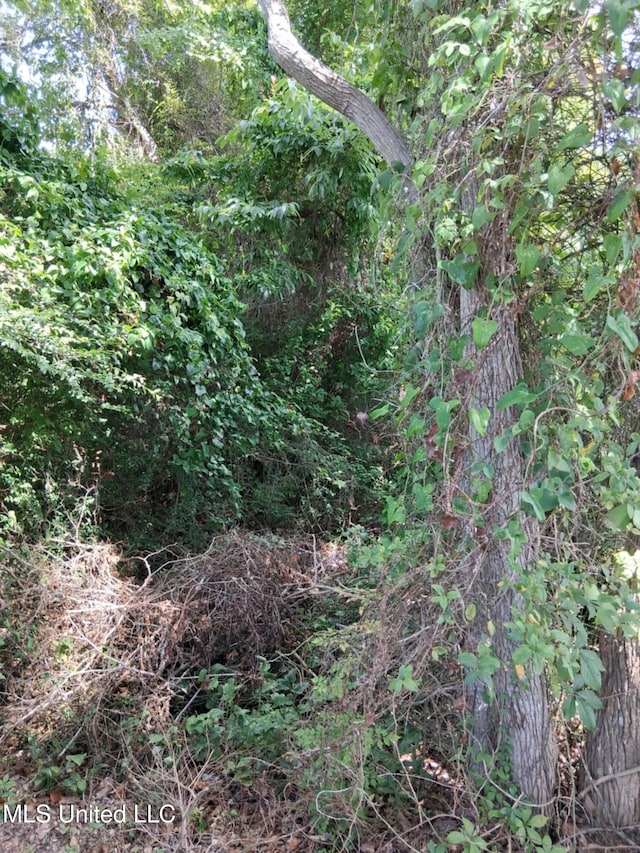 7th St, Bay Saint Louis, MS 39520