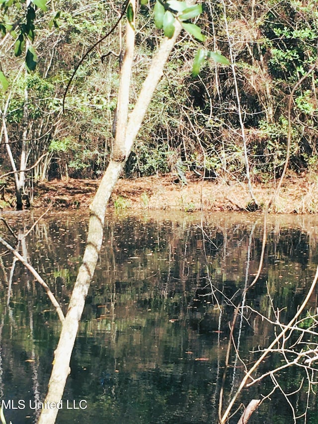 55 Amacker Rd, Poplarville, MS 39470 - water view