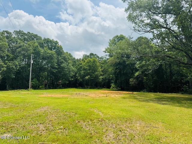 55 Amacker Rd, Poplarville, MS 39470 - view of yard featuring a wooded view