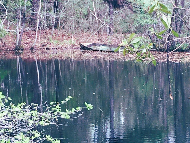 55 Amacker Rd, Poplarville, MS 39470 - water view