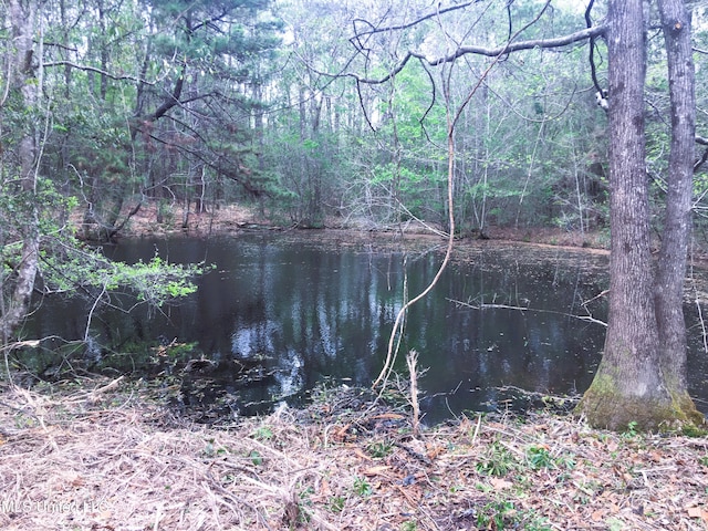 55 Amacker Rd, Poplarville, MS 39470 - water view with a heavily wooded area