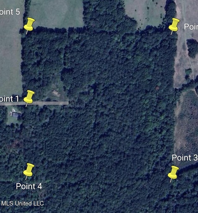 55 Amacker Rd, Poplarville, MS 39470 - map / location