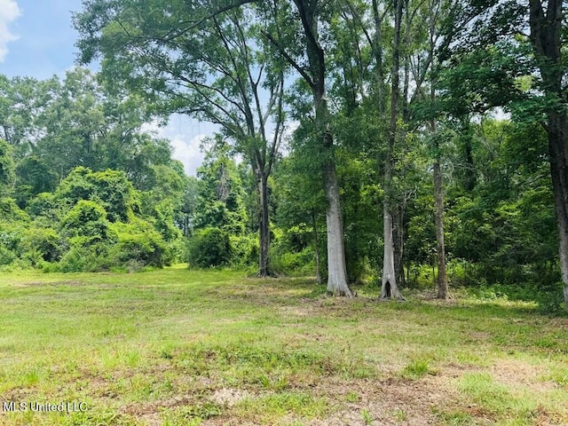 55 Amacker Rd, Poplarville, MS 39470 - view of woods