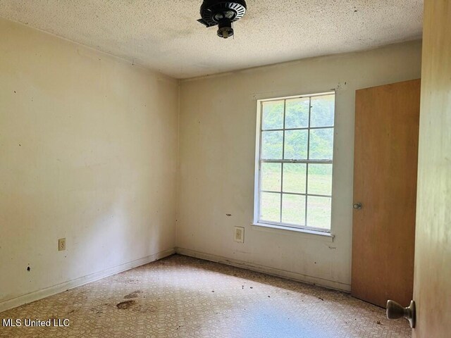 55 Amacker Rd, Poplarville, MS 39470 - unfurnished room featuring plenty of natural light, a textured ceiling, and carpet