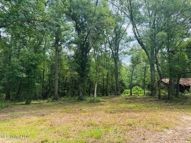 55 Amacker Rd, Poplarville, MS 39470 - view of wooded area