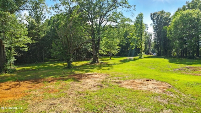 55 Amacker Rd, Poplarville, MS 39470 - view of grassy yard featuring a view of trees
