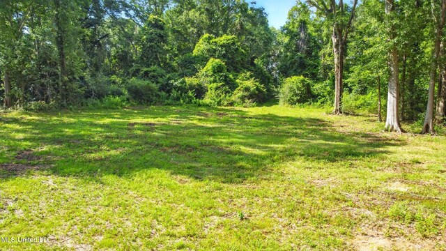 55 Amacker Rd, Poplarville, MS 39470 - view of grassy yard with a view of trees