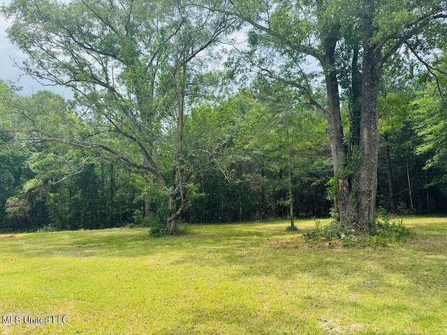 55 Amacker Rd, Poplarville, MS 39470 - view of green lawn with a forest view
