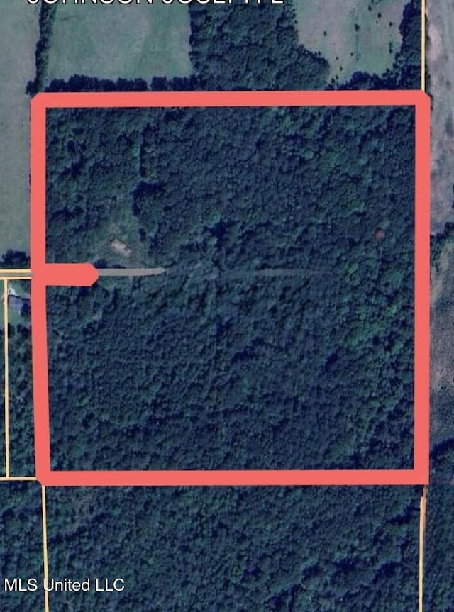 55 Amacker Rd, Poplarville, MS 39470 - aerial view of property's location featuring property parcel outlined