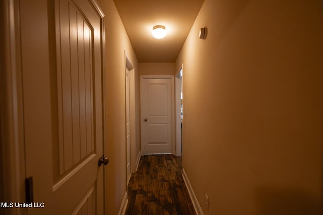 hall featuring dark hardwood / wood-style flooring