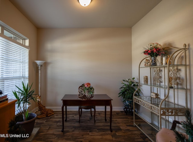 office space with dark wood-type flooring