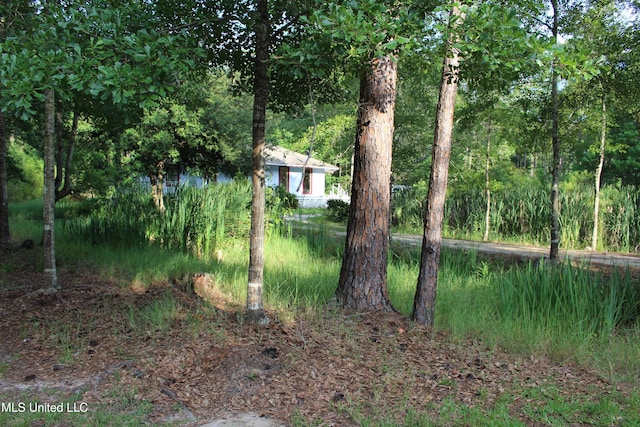 21481 Talmage Ln, Long Beach, MS 39560 - view of yard featuring a view of trees