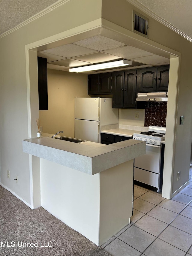 150 Lakeside Villa Unit J, Diamondhead, MS 39525 - kitchen with white appliances, under cabinet range hood, light countertops, ornamental molding, and a sink