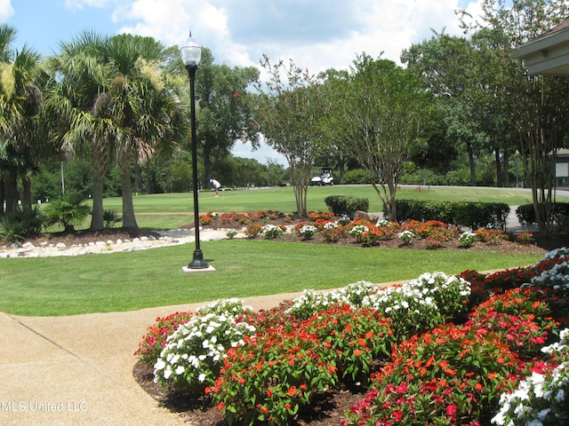 150 Lakeside Villa Unit J, Diamondhead, MS 39525 - view of community with a lawn