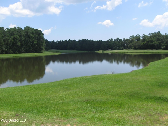 150 Lakeside Villa Unit J, Diamondhead, MS 39525 - water view featuring a forest