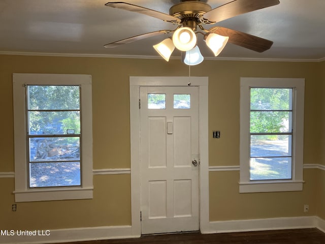 entrance foyer featuring plenty of natural light, baseboards, crown molding, ceiling fan, and dark wood-type flooring