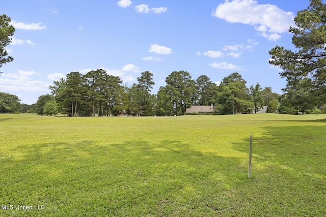 415 Spike Rdg, Canton, MS 39046 - view of grassy yard