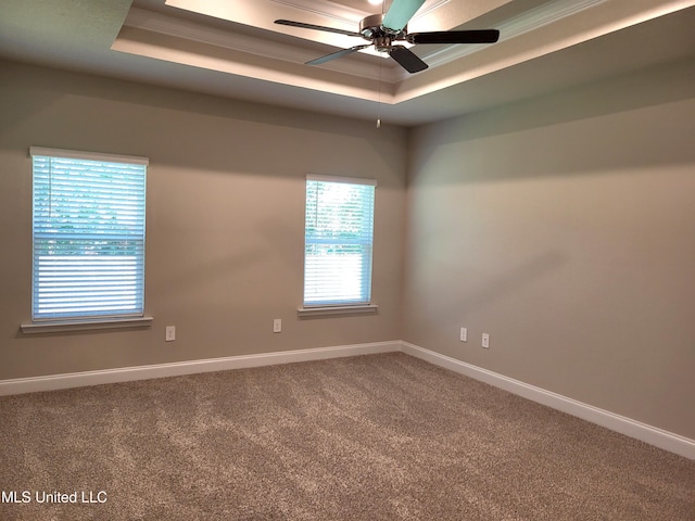 spare room with carpet flooring, a raised ceiling, and baseboards