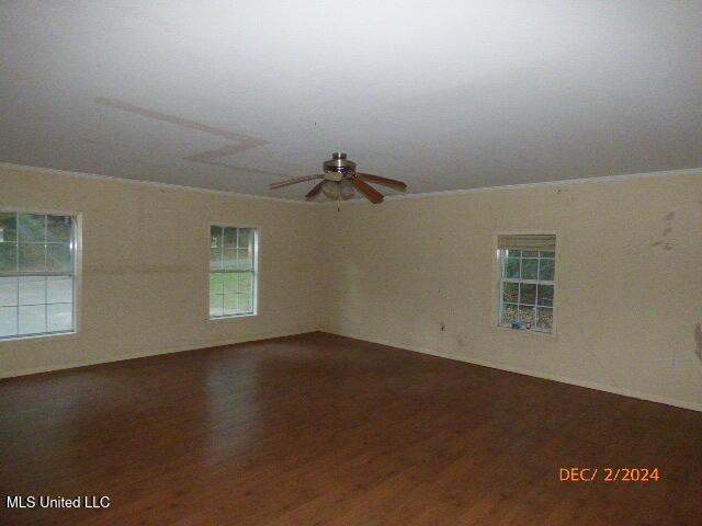 empty room featuring ceiling fan and hardwood / wood-style flooring