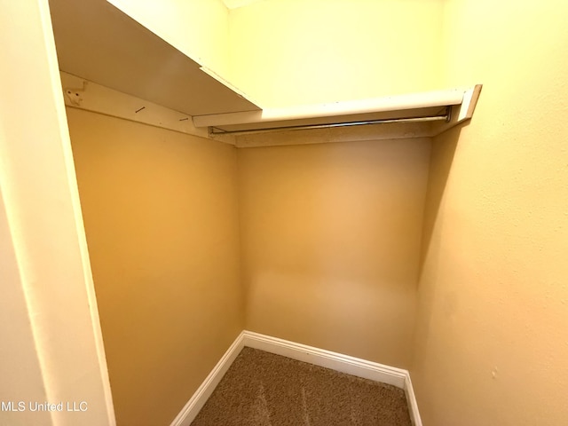 1606 Woodhaven St, Pascagoula, MS 39581 - spacious closet featuring carpet