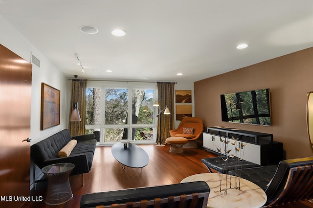 living room featuring wood-type flooring