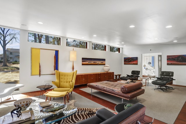 living room with wood-type flooring