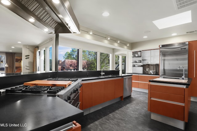 kitchen with appliances with stainless steel finishes, a skylight, sink, and wall chimney range hood