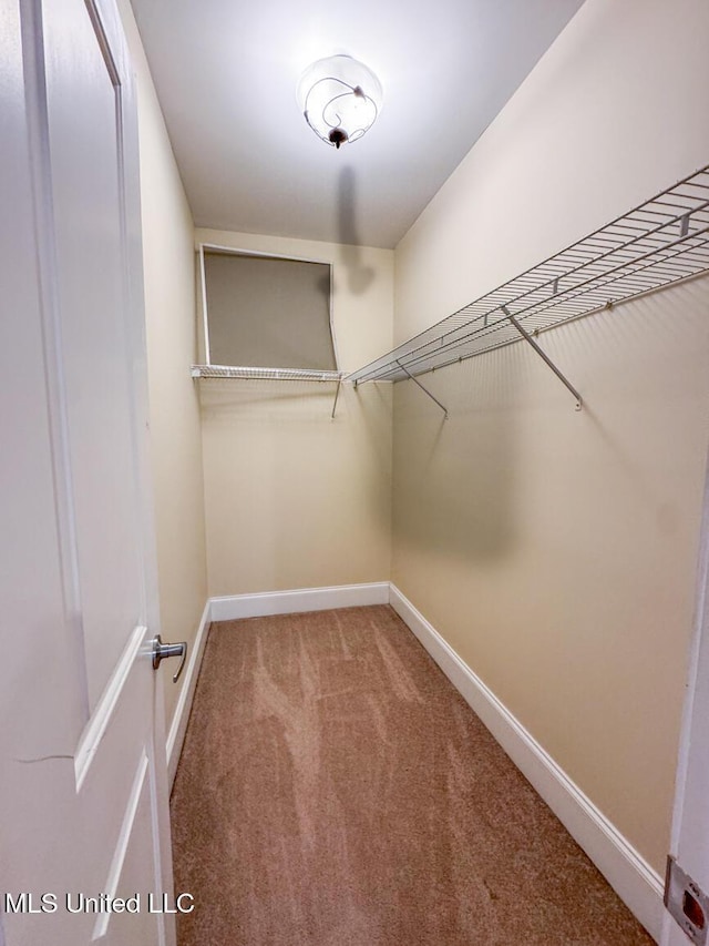 walk in closet with carpet flooring