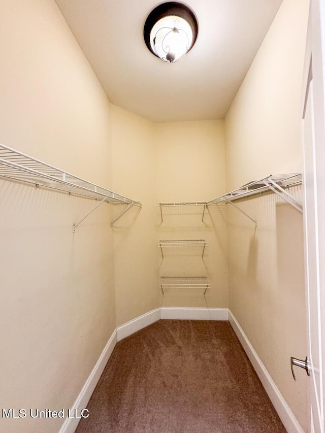 spacious closet with carpet