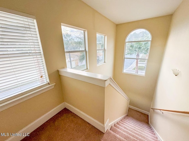 stairs with carpet flooring