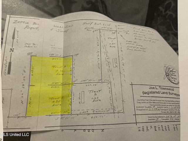 0 Holly Bush Rd, Pelahatchie MS, 39145 land for sale