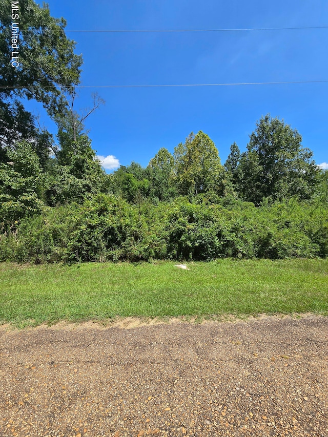 Berlin Pl, Byram MS, 39272 land for sale