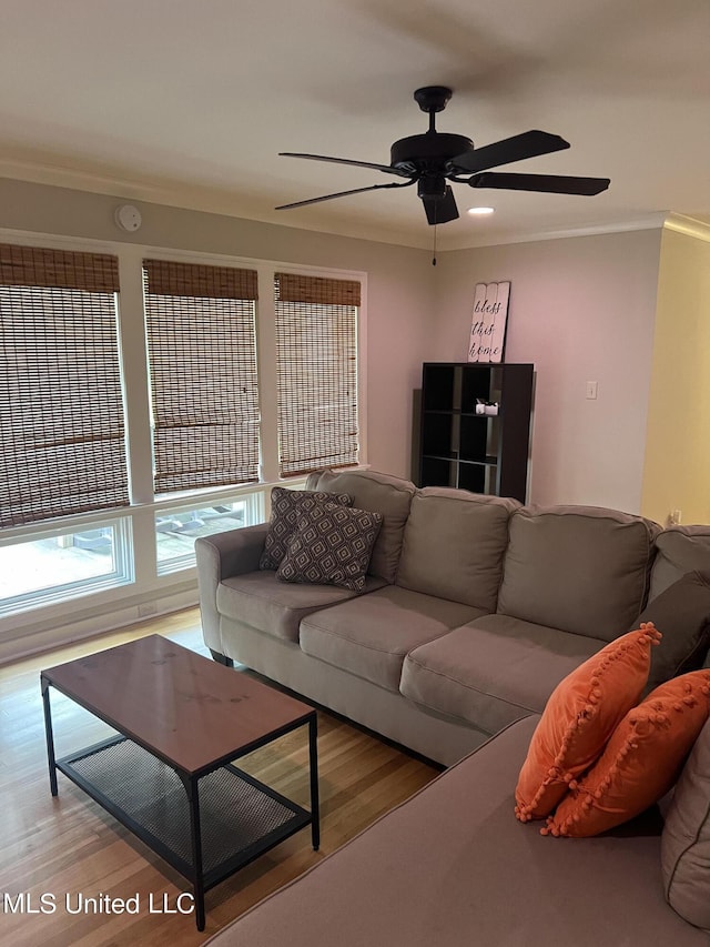 living room with light hardwood / wood-style flooring, crown molding, and ceiling fan