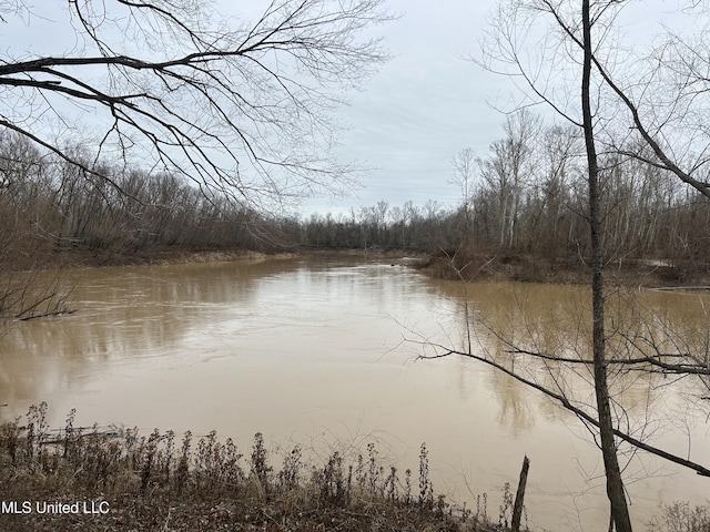 Campbell Swamp Rd, Vicksburg, MS 39180