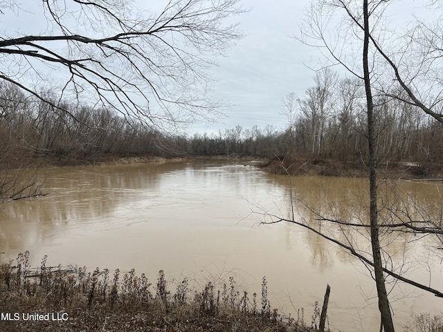 Campbell Swamp Rd, Vicksburg MS, 39180 land for sale