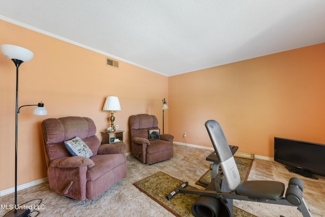 524 Champlin St, Gulfport, MS 39507 - carpeted office with crown molding, baseboards, and a textured ceiling