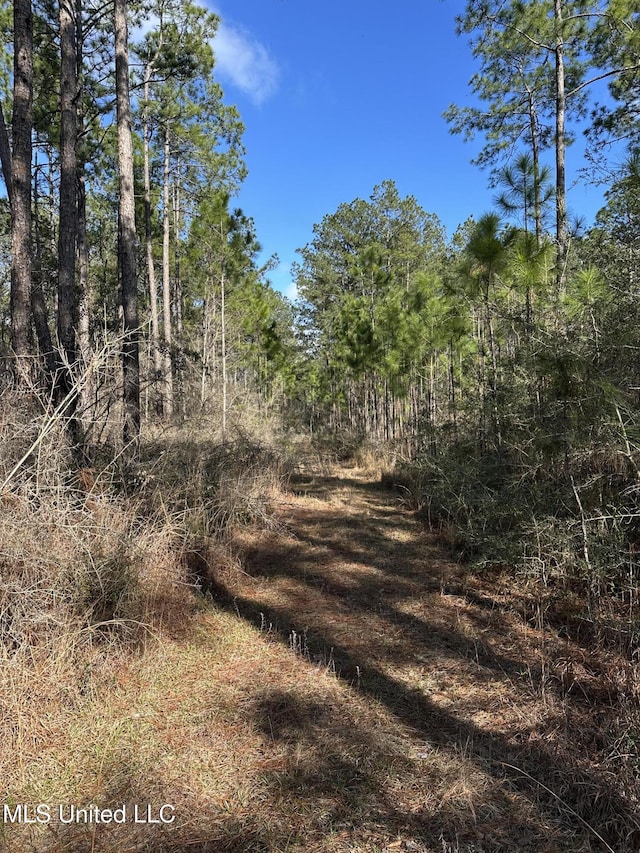 Listing photo 3 for Emile Davis Rd, Poplarville MS 39470