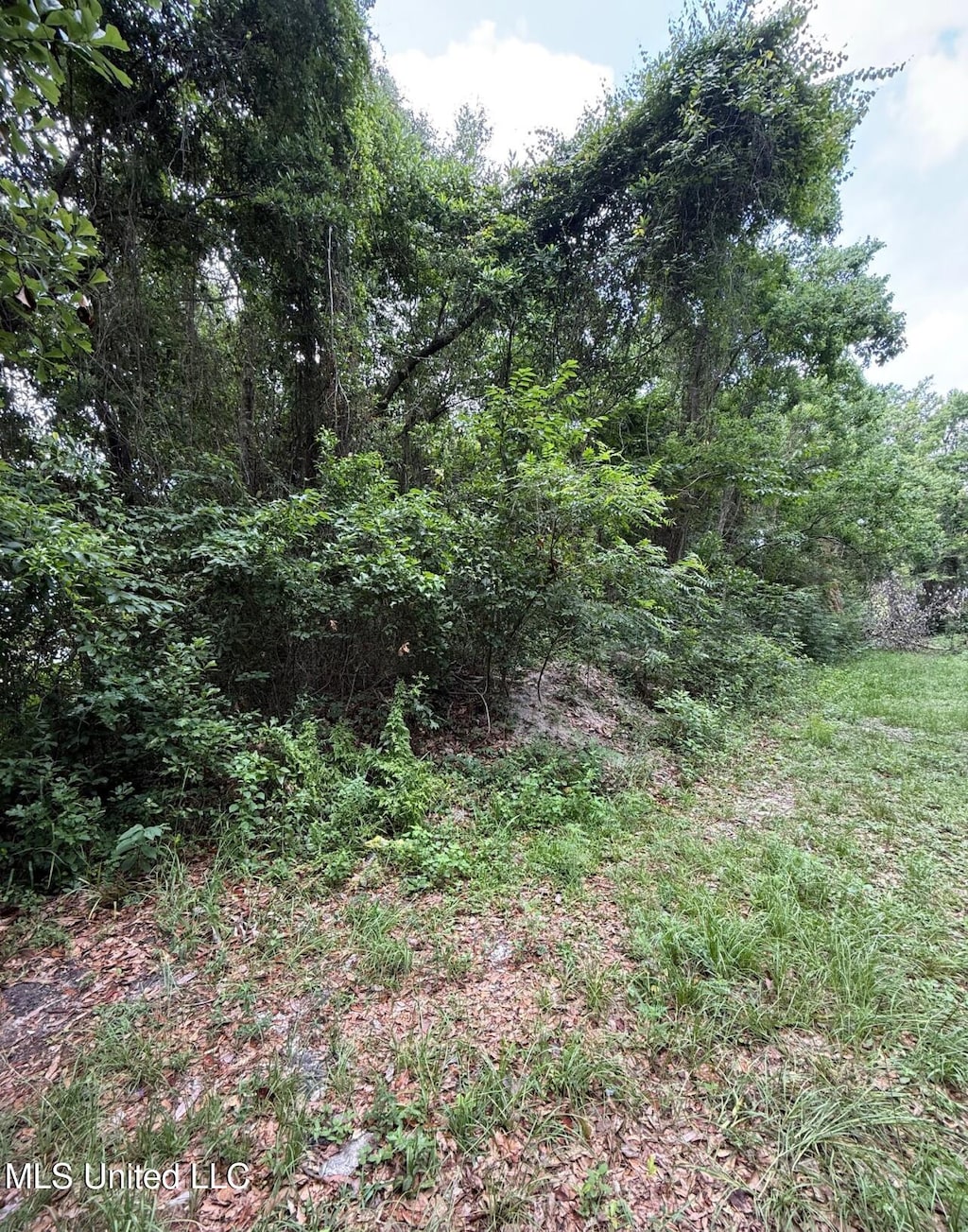 0 N Wright Ave, Long Beach, MS 39560