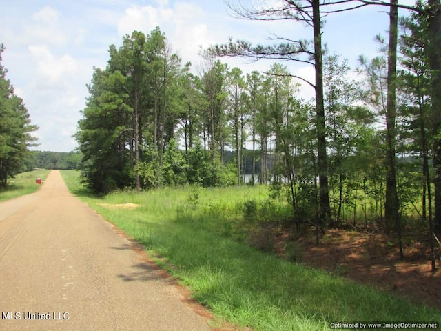 Listing photo 2 for Lakeshire Pkwy, Canton MS 39046