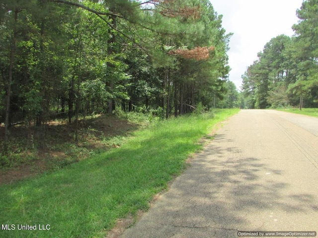 Listing photo 3 for Lakeshire Pkwy, Canton MS 39046